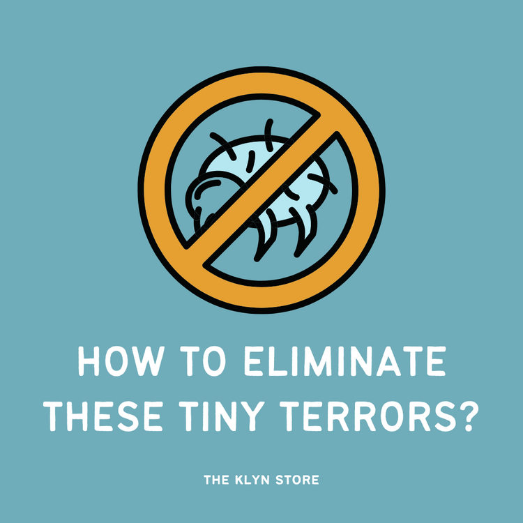 Banishing Dust Mites with our AntiDust Mite Laundry Detergent Sheets